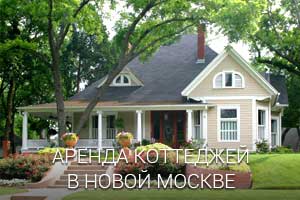 Аренда домов и коттеджей в Новой Москве